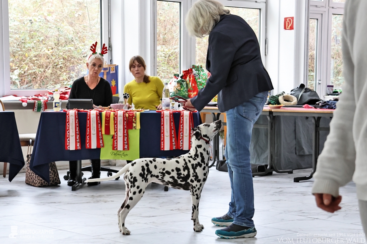 Jüngsten Klasse Hündinnen (6 Meldungen) Time after Time vom Teutoburger Wald V: IntCh Running Spot's Dancing Bob M: Ch Jameelah's Journey vom Teutoburger Wald Doghandler: Monika Laukamp - Viel Versprechend Platz 2 – Jüngsten Klasse Hündinnen (6 Meldungen) Time after Time vom Teutoburger Wald V: IntCh Running Spot's Dancing Bob M: Ch Jameelah's Journey vom Teutoburger Wald Doghandler: Monika Laukamp - Viel Versprechend Platz 2 –