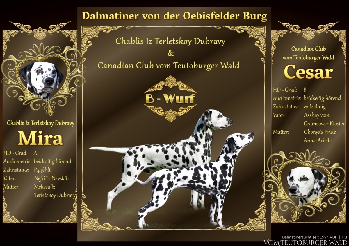 Deckung: Canadian Club vom Teutoburger Wald und Chablis Iz Terletskoy Dubravy