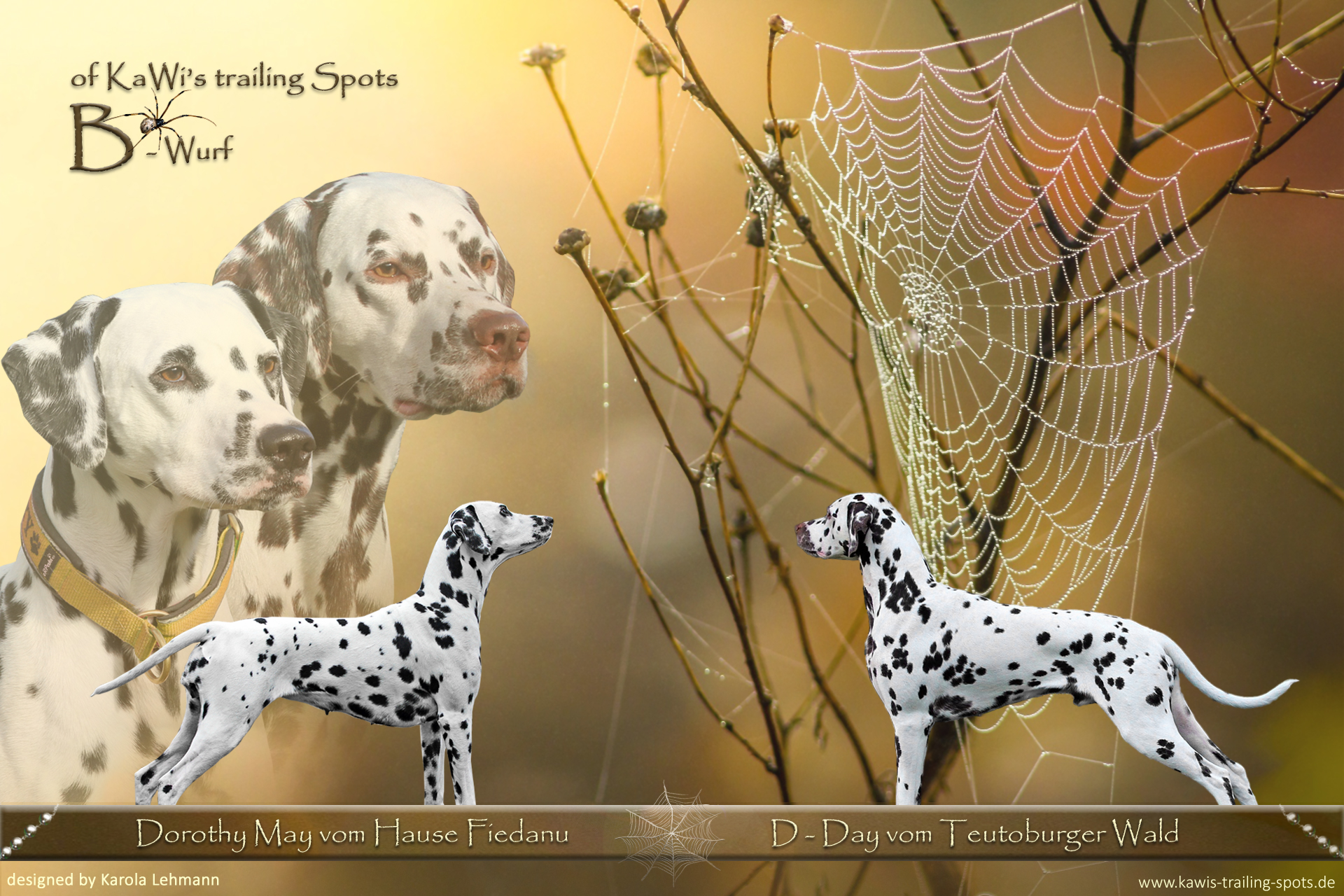 Infos zum B-Wurf of KaWis trailing Spots