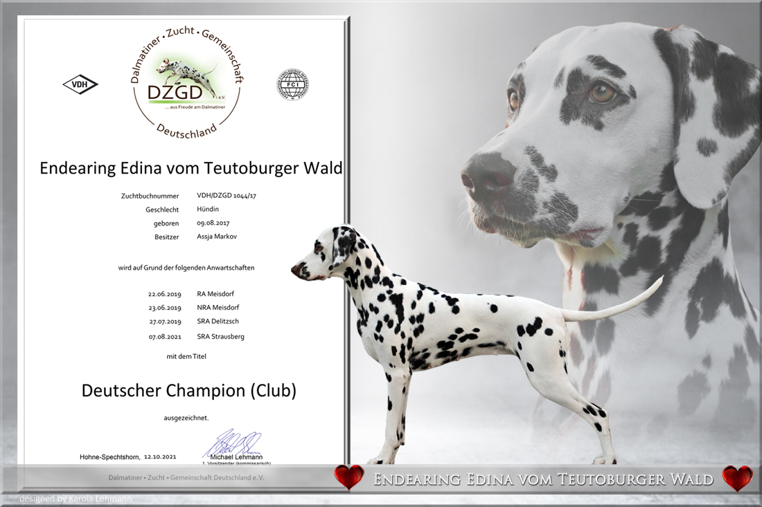 Endearing Edina vom Teutoburger Wald – Neue Deutsche Championesse 