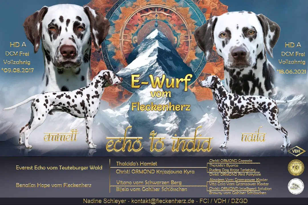 E-Wurf vom Fleckenherz - Vater: Ch. Everest Echo vom Teutoburger Wald, Mutter: Benailas Hope vom Fleckenherz
