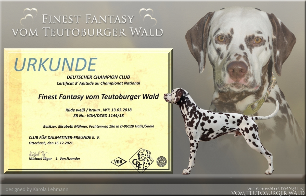 Bounty - Neuer Deutscher Champion - Finest Fantasy vom Teutoburger Wald