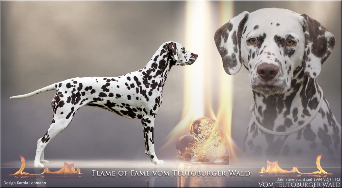 Datenblatt Flame of Fame vom Teutoburger Wald