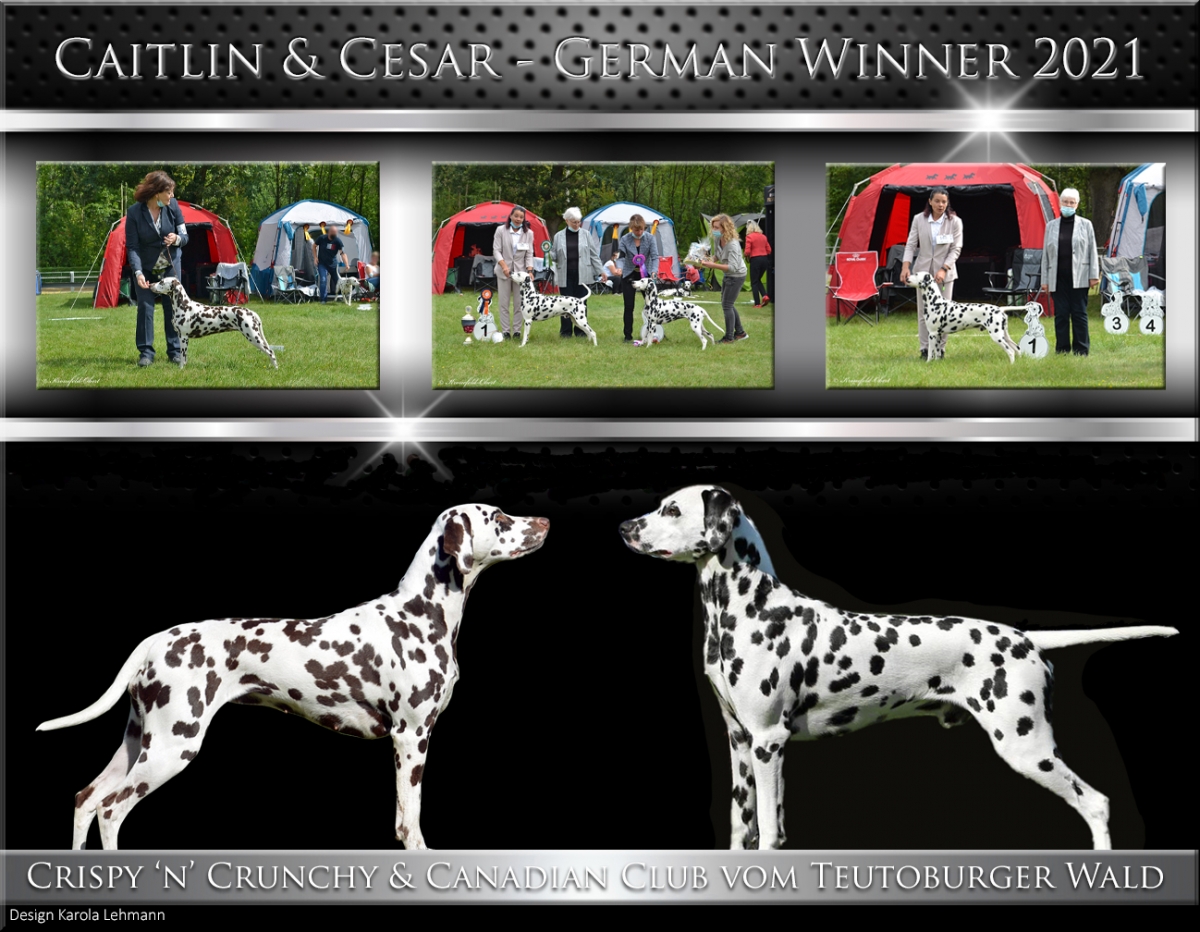 BEST OF BREED | VDH GERMAN WINNER 2021 – Das Geschwister-Duo Canadian Club &amp; Crispy 'n' Crunchy vom Teutoburger Wald 