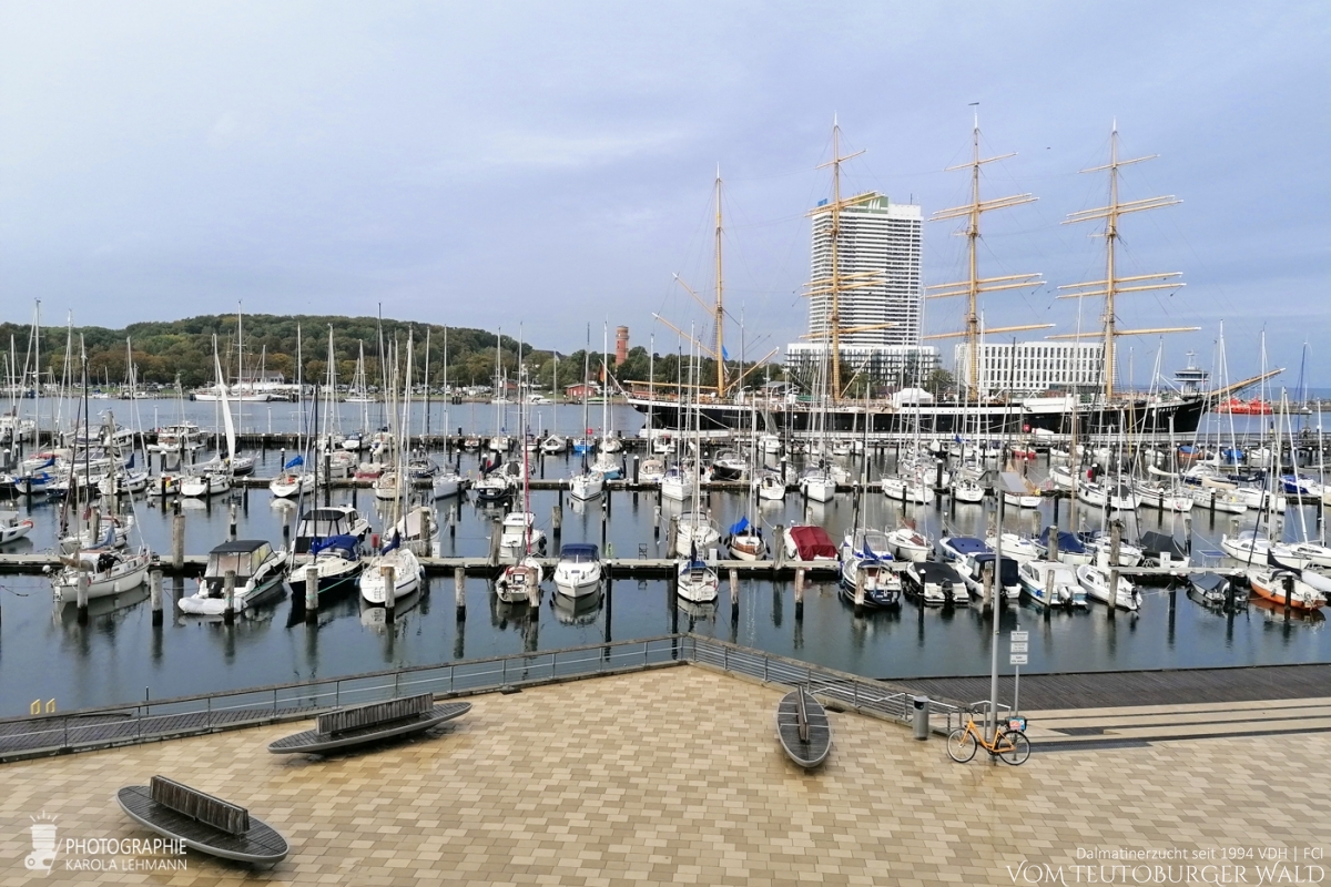 Unser fantastischer Ausblick auf den Hafen in Travemünde