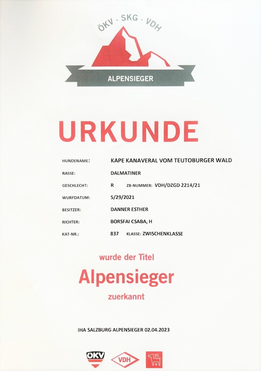 Internationale Ausstellung Salzburg (AT) Dt. u. ÖKV Jug. Ch. Kape Kanaveral vom Teutoburger Wald - BESTER RÜDE (BOS, CACIB) ÖKV ALPENSIEGER 2023