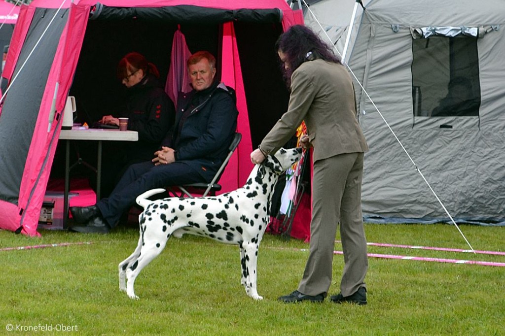 CACIB Internationale Ausstellung Roskilde (DK)