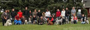 ... Doghandling Seminar: Theoretische und praktische Ausbildung