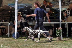 Deutscher Champion Jameelah's Journey vom Teutoburger Wald mit ihrer Besitzerin Birgit Heise