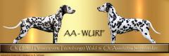 AA - Wurf vom Teutoburger Wald