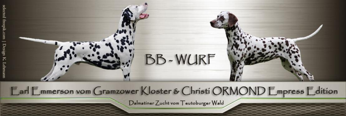 BB - Wurf vom Teutoburger Wald