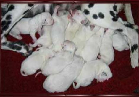 alle beisammen (2. Tag)