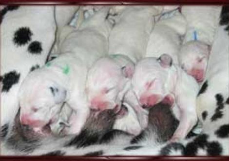 ...mhhh das schmeckt (2. Tag)