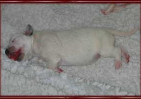 ....Nuckeltraum??? (3. Tag)