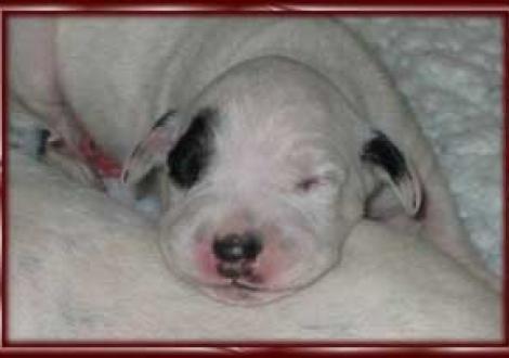 ...bin ich nicht megagenial? (6 Tag)