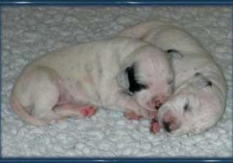 ..komm ich erzähl dir was! (6. Tag)