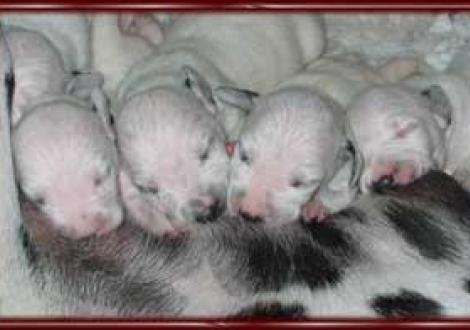 Mama ist die Beste (7. Tag)