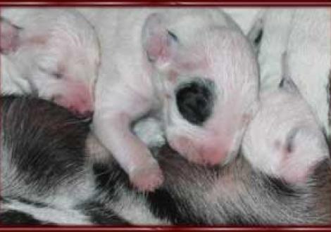 wir haben imnmer Hunger! (7. Tag)