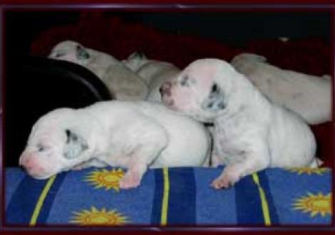 des Erkunden! (7. Tag)