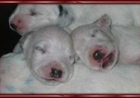 Schönheitsschlaf! (7. Tag)