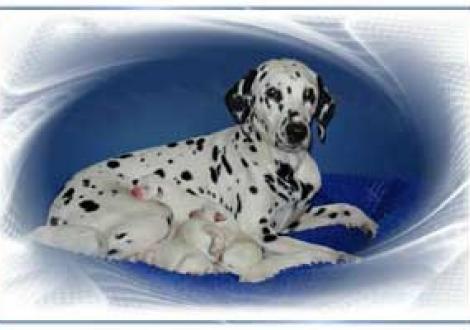 Hope hat alles gut überstanden (1. Tag)