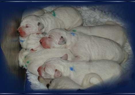 ... Kuscheln!!! (2. Tag)