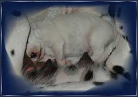 ...Tiefschlaf gleich an der Quelle! (5.Tag)