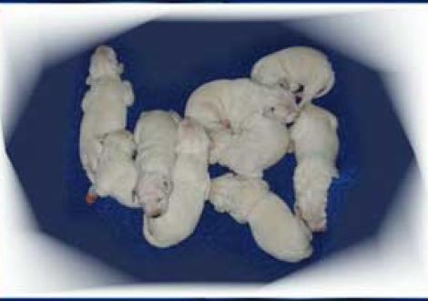 unsere 9 propperen Zwerge (6. Tag)