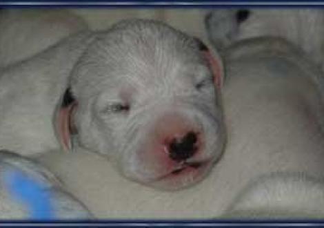 ...bin ich süß? (6 Tag)