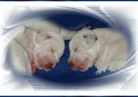 unsere zwei braunen Mädels! (6. Tag)