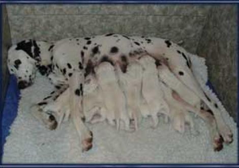 ... unsere Lieblingsbeschäftigung (6. Tag)