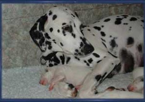 bei Mama im Arm ist's am Schönsten! (6. Tag)