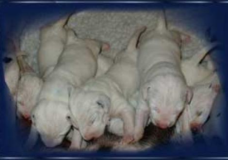 ...jetzt aber mich Schmackes! (6. Tag)