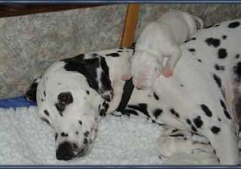 Klettermaxe! (6. Tag)