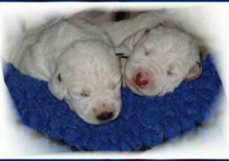 Schwarz & Braun (6. Tag)