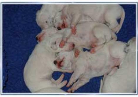 wir schlafen in jeder Position! (6. Tag)