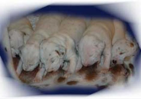 Mama ist die Beste!!!