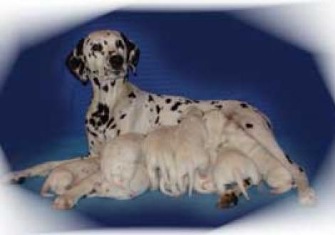 Superstolze Mama Hope mit ihren Neunen!