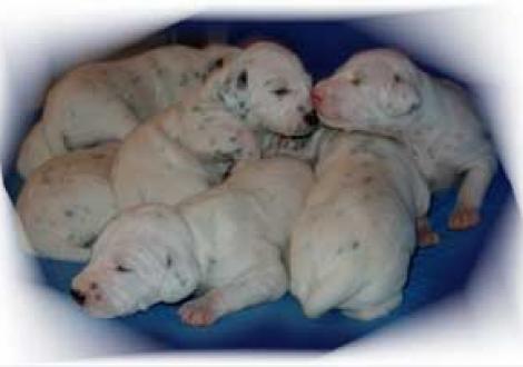 erste Knutschversuche!