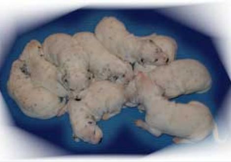 Alle auf einem Haufen!