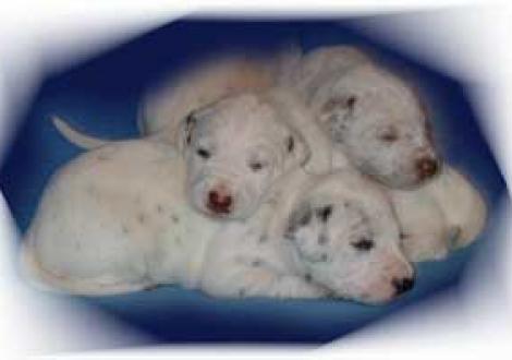 Latoya & Lysana mit ihrer Schwester