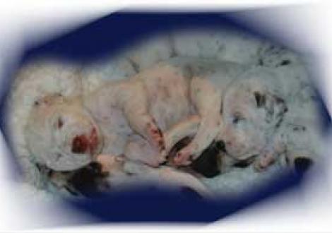 Hier ist's schön weich!!!