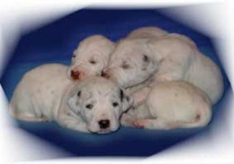 ich glaub\' ich bin ne gute Kopfstütze!