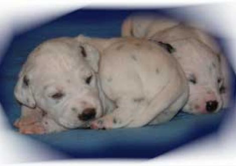 ...und tschüß bis nächsten Sonntag!