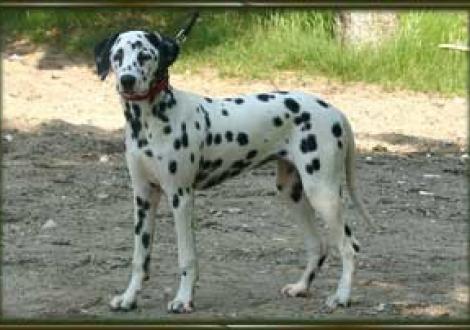 La Luna (5 1/2 Monate)