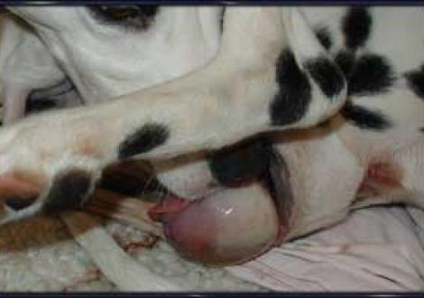 das Köpfchen ist geschafft (Geburt)