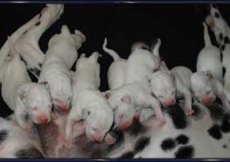 ...Kohldampf!!! (1 Tag)