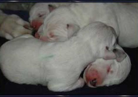 ... ist das kuschelig!!! (1. Tag)