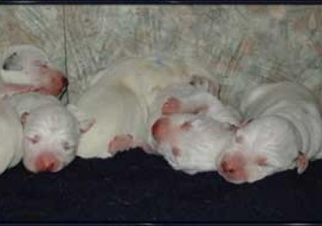 Drunter und Drüber (1. Tag)