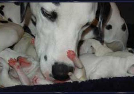 Mama ist die Beste (1. Tag)